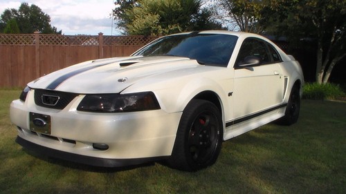 1999-04 FORD MUSTANG LEATHER SHIFT BOOT & BEZEL KIT WAR OF 25 TO SAVE USA SALE! - Picture 9 of 24