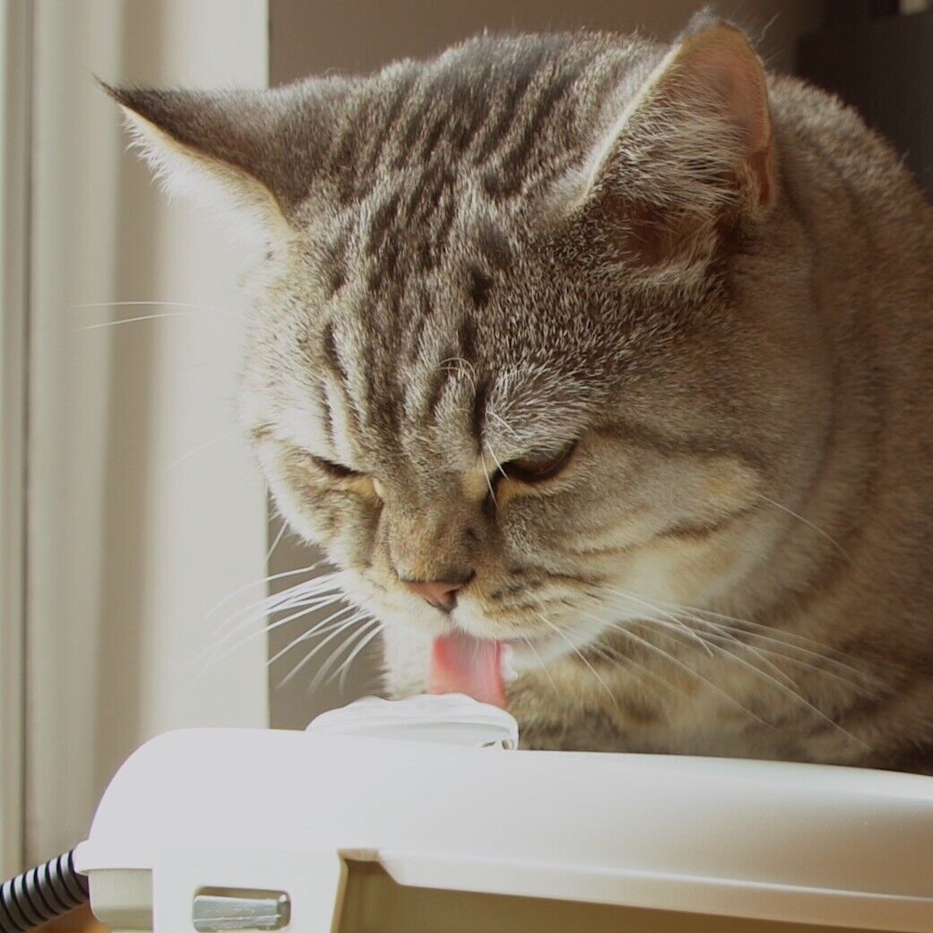 Cat H2O mini - Pet Water Fountain with filter & dental care (1.2L) - Picture 7 of 7