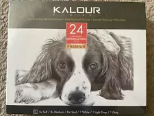 KALOUR 24 Compressed Charcoal & Pastel Premium Stiks New Sealed Box