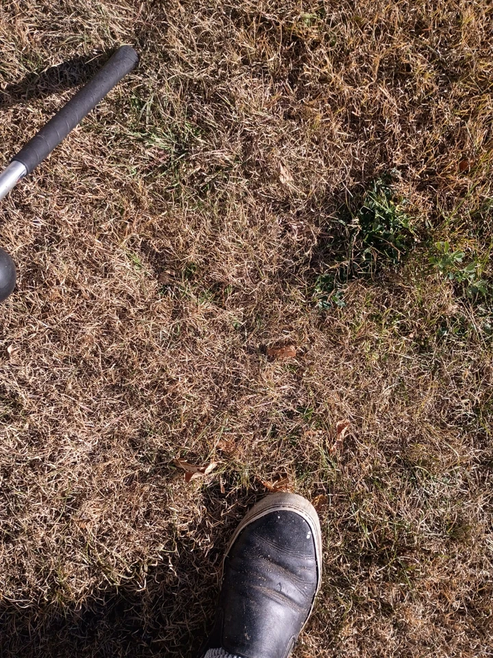 Golf Putting Practice Tool - Image 3 of 4