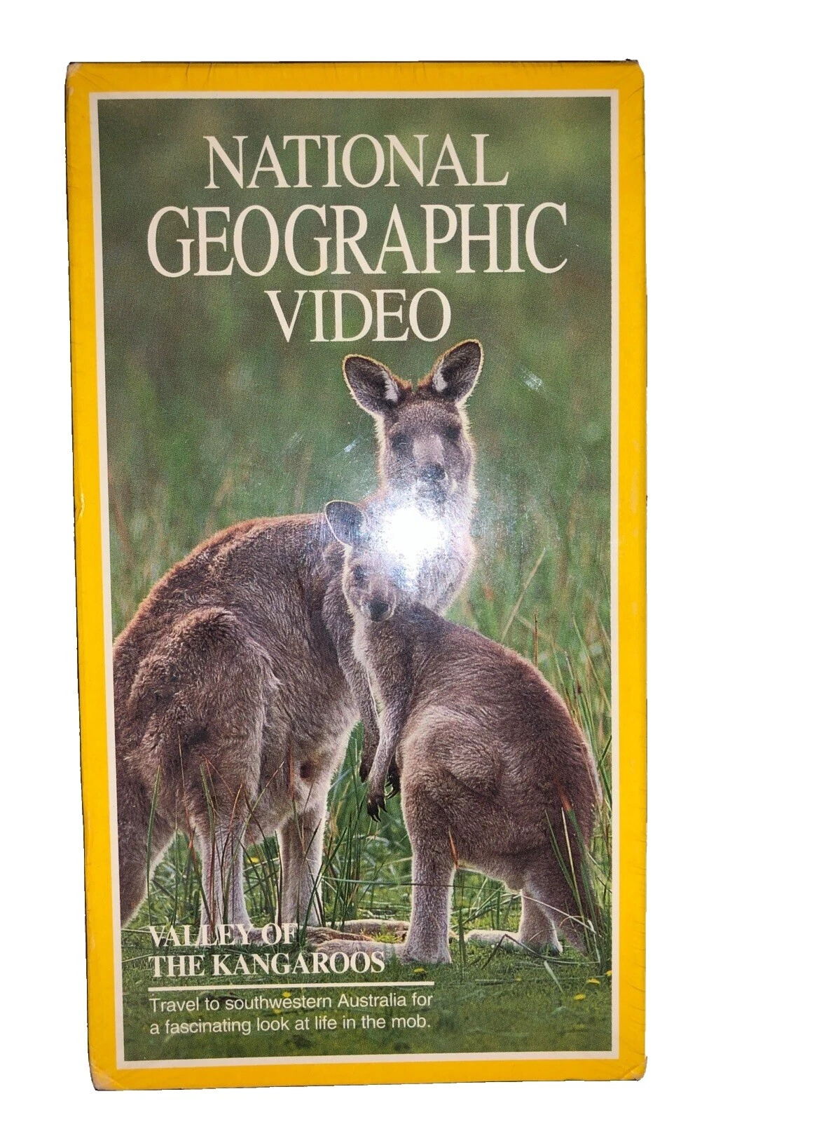 Collector's Edition Educational VHS Tapes