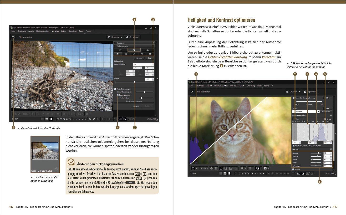 Thumbnail - Canon Eos 5ds / 5ds R - Für Bessere Fotos Von Anfang An | Kyra Sänger