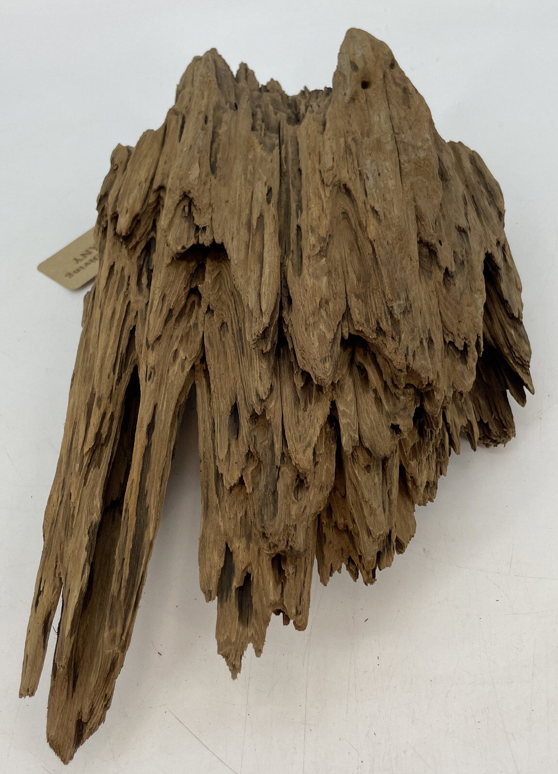 19x10x5” Cypress Driftwood Unfinished Natural Aquarium Terrarium Plant