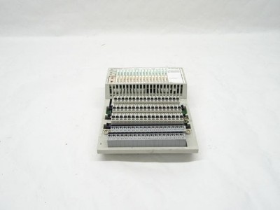 Schneider TSX Momentum 170ADM35010 SPS-E/A Modul inkl. Verlängerung