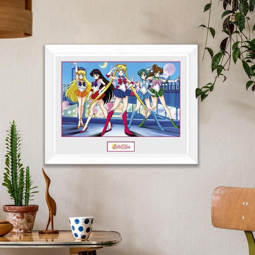Seeman Frame Seemann Moon Framed Print Gruppe (300) (White Frame) Druck Mit Rahmen ...