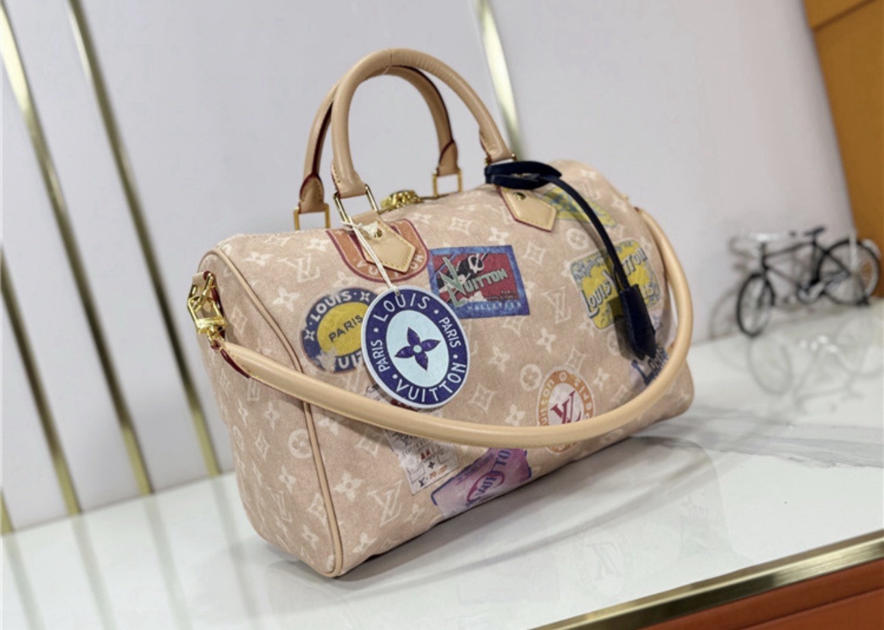 Louis Vuitton Speedy Trunk Patchwork Monogram Bag - image 1
