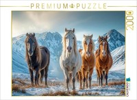 Calvendo Puzzle Together Into The Cold Season | 2000 Pieces, Finished Size 35.4