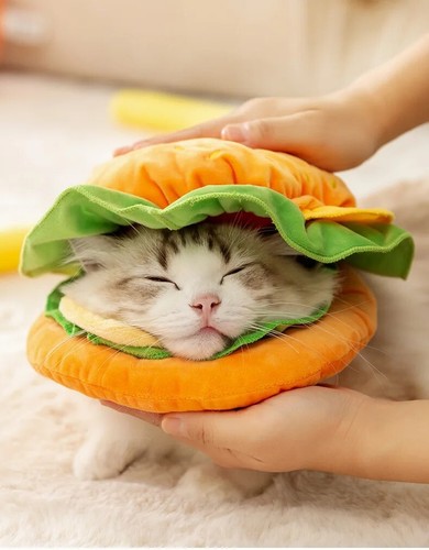 Pet Hamburger Cosplay Costume Pupppy Dog Cat Funny Clothes Halloween Party AU - Picture 12 of 13