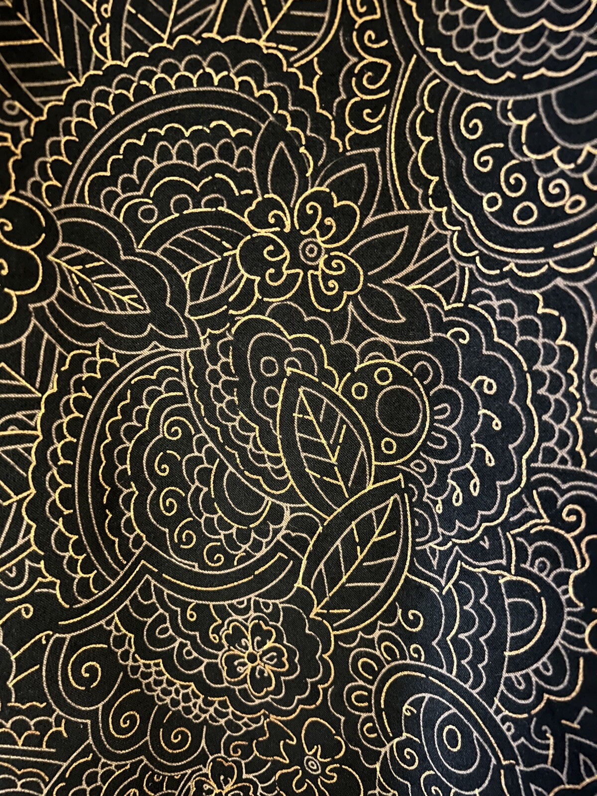 Picture 5 of 13