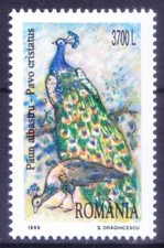 Romania 1999 MNH, Indian Peafowl, Peacock, Decorative Birds [HS]