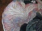 Picture 12 of 12
