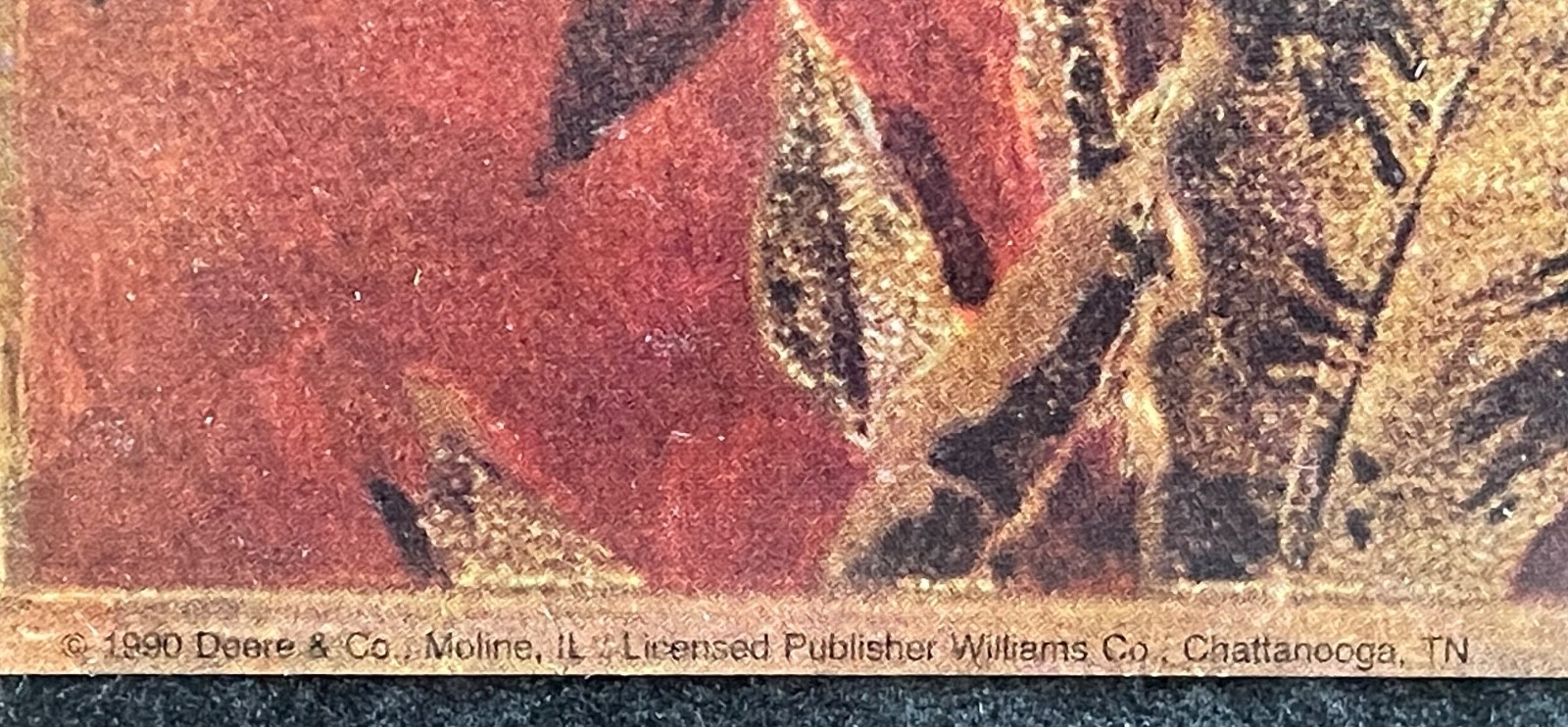 Picture 11 of 13