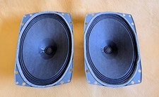 PAAR Peerless 2001 Oval Lautsprecher 21x15 cm  4Ohm AlNiCo Breitband Chassis TOP