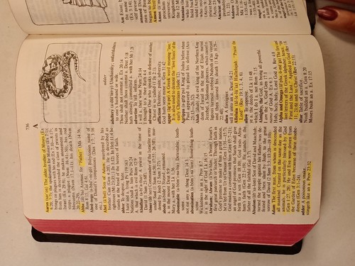 Holy Bible KJV Dictionary Concordance Red Letter Edition Nelson See Pics & Desc. - Foto 16 di 20