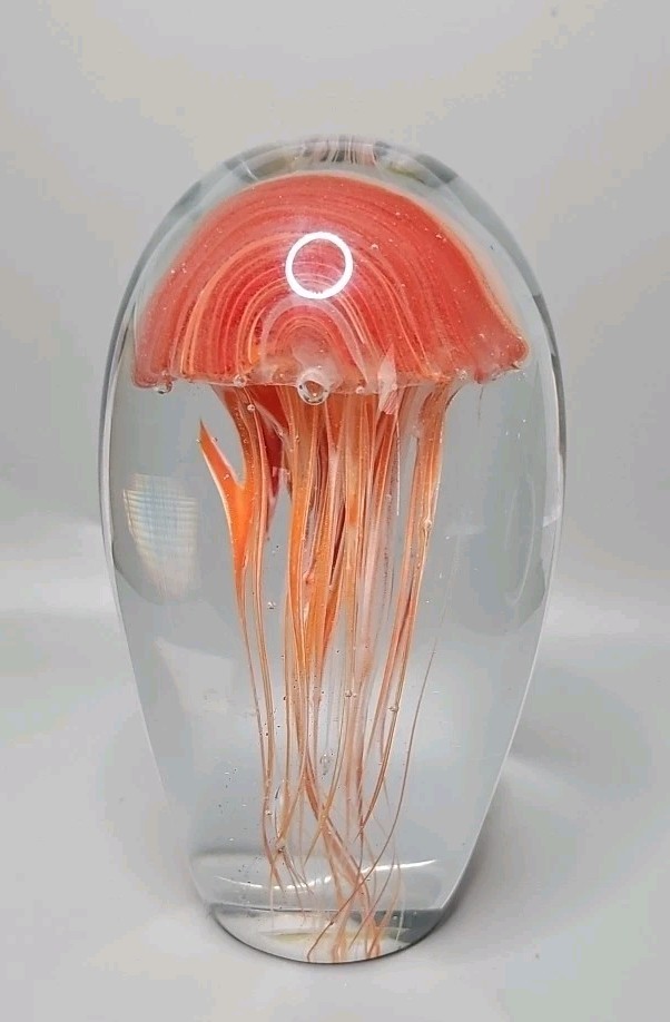 Foto 2 di 6