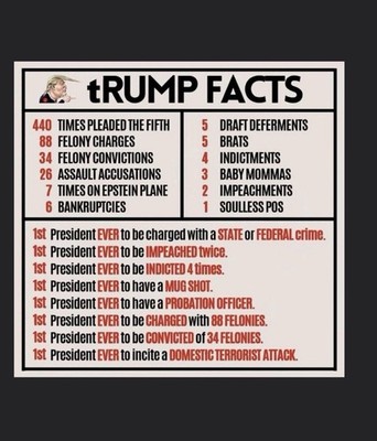 3'' Sticker - ANTI TRUMP Anti Republican GOP Outdoor Safe Election Bumper Sticker