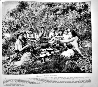 Vintage Hawaiian Photo Book 'Paradise of the Pacific' Early 1900s