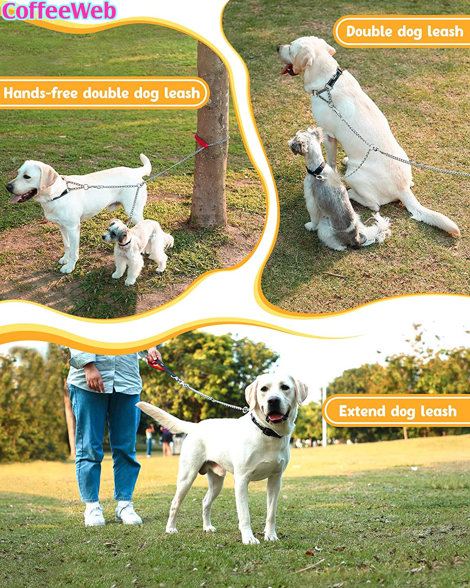 Guinzaglio Doppio Per Cani In Metallo - Catena 60cm, Antigroviglio, Per 2 Cani - Foto 6