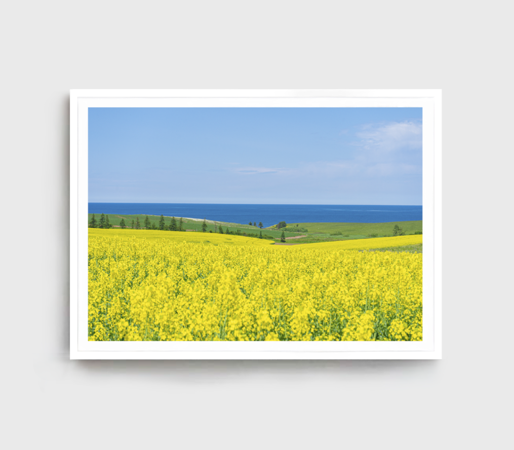 landscape-print-grassess-plant-wall-art-sky-framed-beach-wall-art