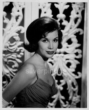 Orig 1961 MARY TYLER MOORE Glamour Girl.. “THE DICK VAN DYKE SHOW” by GABOR RONA