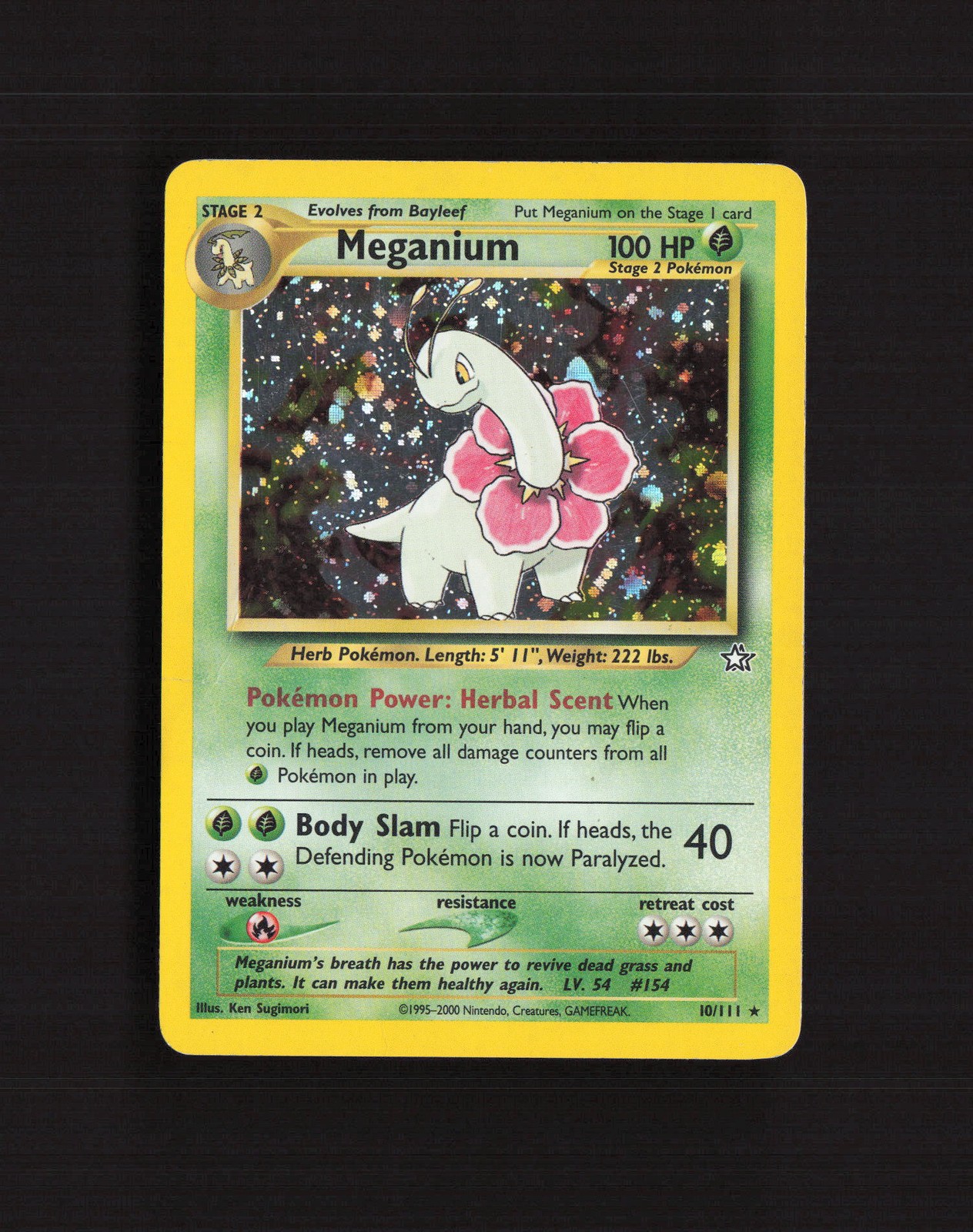 Meganium 10/111 Neo Genesis Holo Rare Pokemon Card DMG