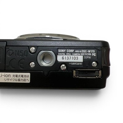 Sony Cyber-shot DSC-W170 10.1MP Digital Camera - Silver (DSC-W170