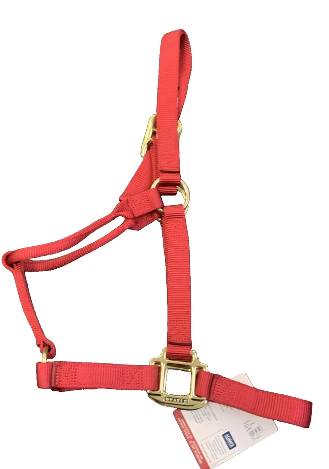 Tejedor 500 a 800 lb Original No Ajustable 1" Nylon Halter Caballo Pequeño Foto 3 de 4