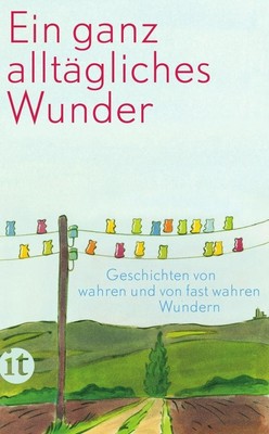 Ein ganz alltägliches Wunder Clara Paul