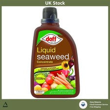 Concentrated Liquid Seaweed Plant Feed 3 x 1L Garden Solution 10.33 per litre