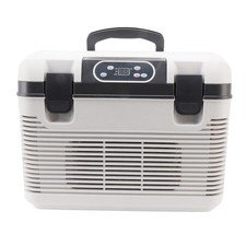 Frigorifero Auto 220V 12 24 Volt Portatile 19L Auto Congelatore Mini Frigo per R SG
