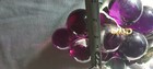 Bild 8 von 8