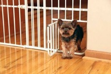 carlson extra tall metal expandable pet gate