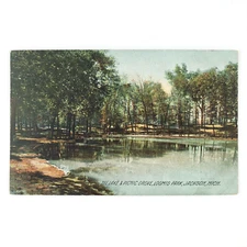 Jackson Michigan Loomis Park Postcard c1911 Picnic Grove Lake Rotograph MI B2005