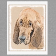 6 Bloodhound Dog Blank Art Note Greeting Cards