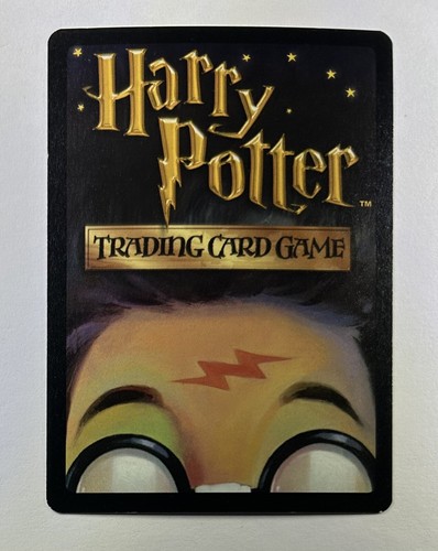 Harry Potter 21/80 Madam Irma Pince Diagon Alley Portrait Rare Unplayed - 第 2/2 張圖片