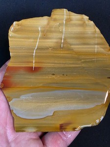 Owyhee Sunset Picture Jasper Slab (Oregon)