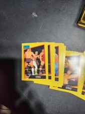  Wrestling Cards Complete 162 Card Set Plus 200 Duplicates 1991 WCW 