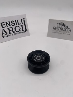 Riemenscheibe Mit Lagern Für Raimondi Exploit /S99 Adv /Sherpa/J10
