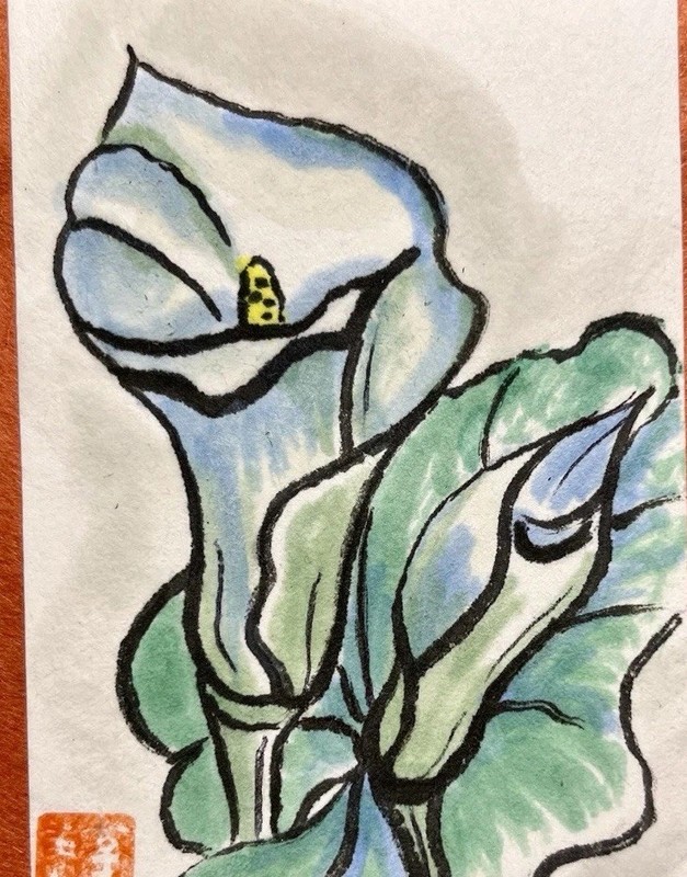 Original ACEO White Calla Lily- Sumi Ink