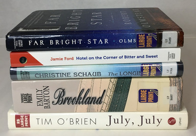 Historical Fiction LARGE PRINT Lot of 5 - Ford Schaub Barton O'Brien Olmstead