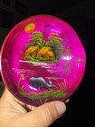 Handmade Hand Painted Coconut Shell Bowl Asian Elephants Folk Art — photo 2