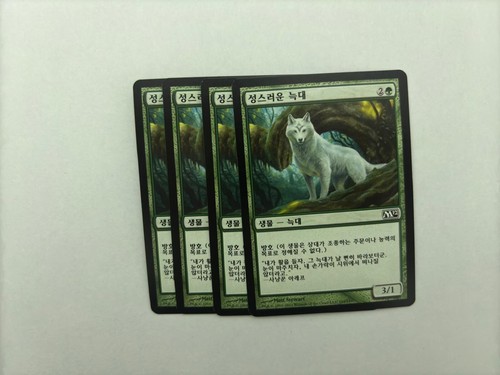 MTG 4X KOREAN M12 SACRED WOLF NM MAGIC THE GATHERING 2012 COMMON GREEN CREATURE - 第 3/6 張圖片