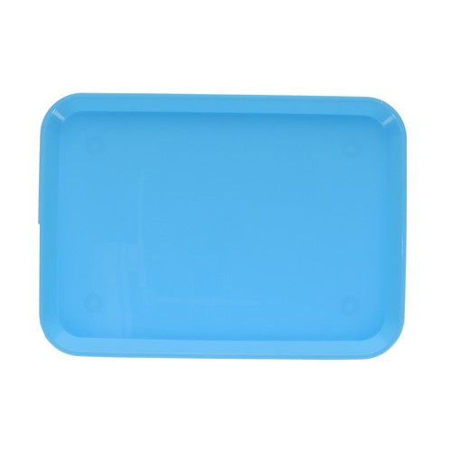 House Brand Odontoiatria 108147 HSB Set-Up Vassoio Piatto #B Ritter Baby Blu Plastica - Foto 4 di 5