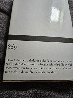 Hermann Hesse - Der Steppenwolf - Bibliothek Suhrkamp - Auflage 1996 - gebunden