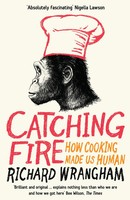 Catching Fire | How Cooking Made Us Human | Richard Wrangham | Taschenbuch