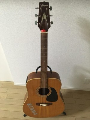 Elektrische Akustikgitarre Takamine TD Modell Natural mit modifiziertem Stimm...