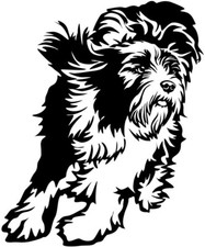 BEARDED COLLIE Aufkleber - Bearded Collie Autoaufkleber - sticker - Kontur #09