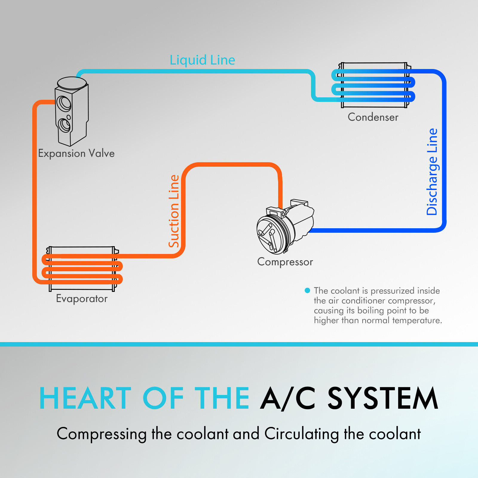 A/C AC Compressor for BMW 323i E36 1996-1998 2.5L M52 M50 B25 Sedan ...
