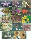 BRAZIL 1995-96 ORCHIDS PHONECARDS set if 14 Phone cards TELEBRAS