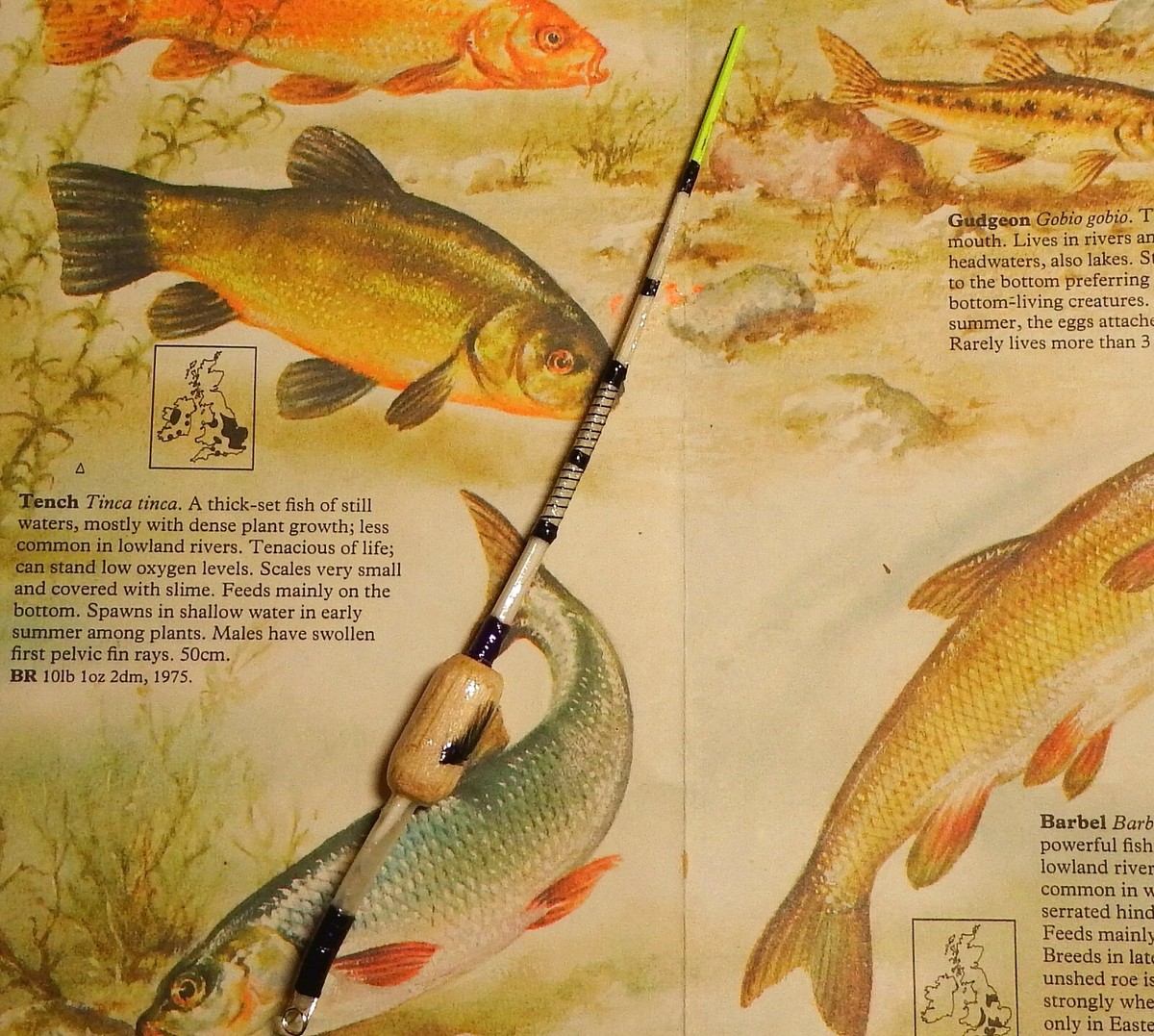 Tench Float Fishing Set Up Tench Feeder Tench Fishing Rigs Rig